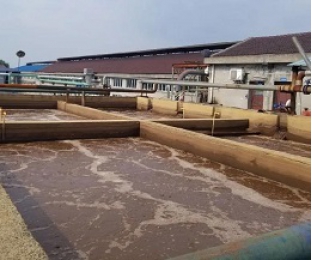 出水氨氮大于進水氨氮，怎么回事？