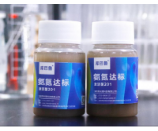 生化系統崩潰，氨氮超標，我該怎么辦?